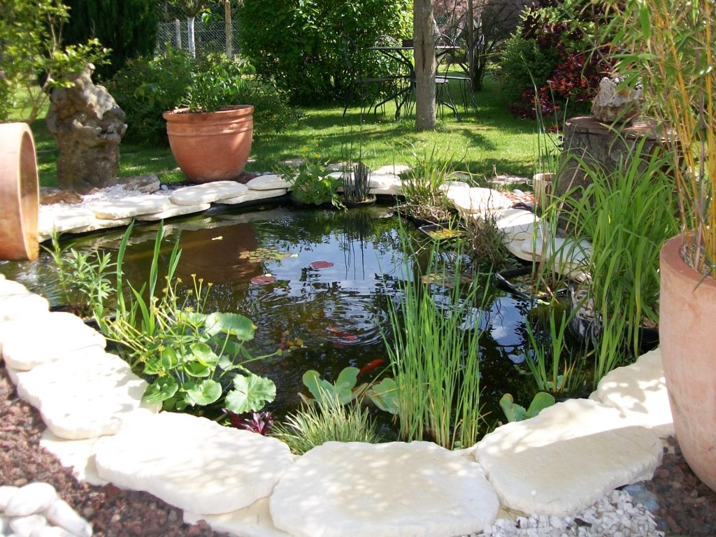 Comment faire  une mare ou un  bassin dans un  jardin Blog 