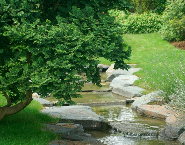 LES JARDINS IDEE Ô