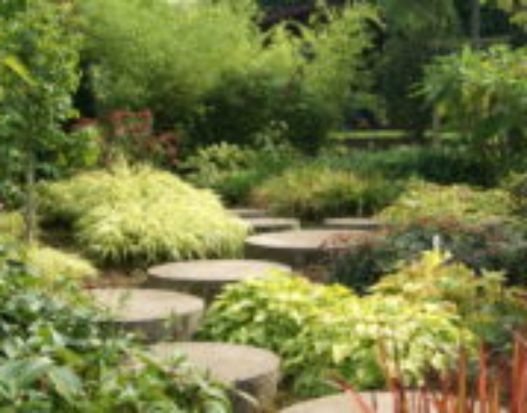 LES JARDINS IDEE Ô
