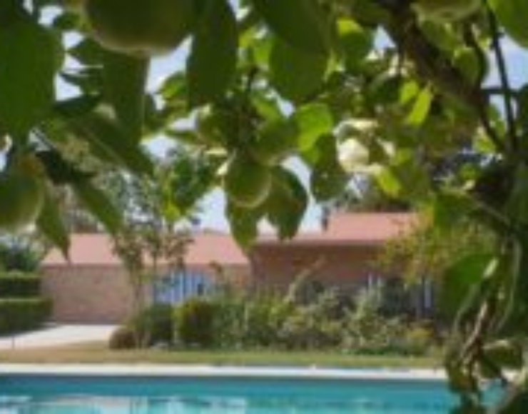 LES JARDINS IDEE Ô